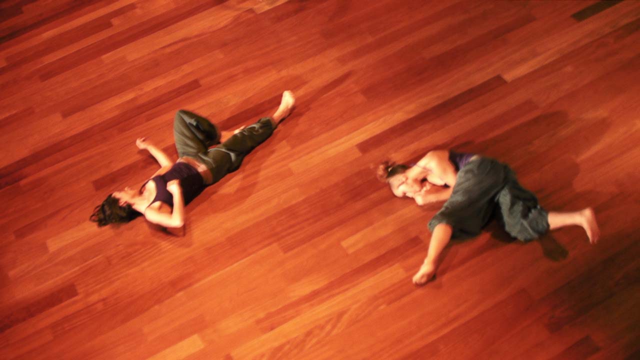 danzas invisibles 2008