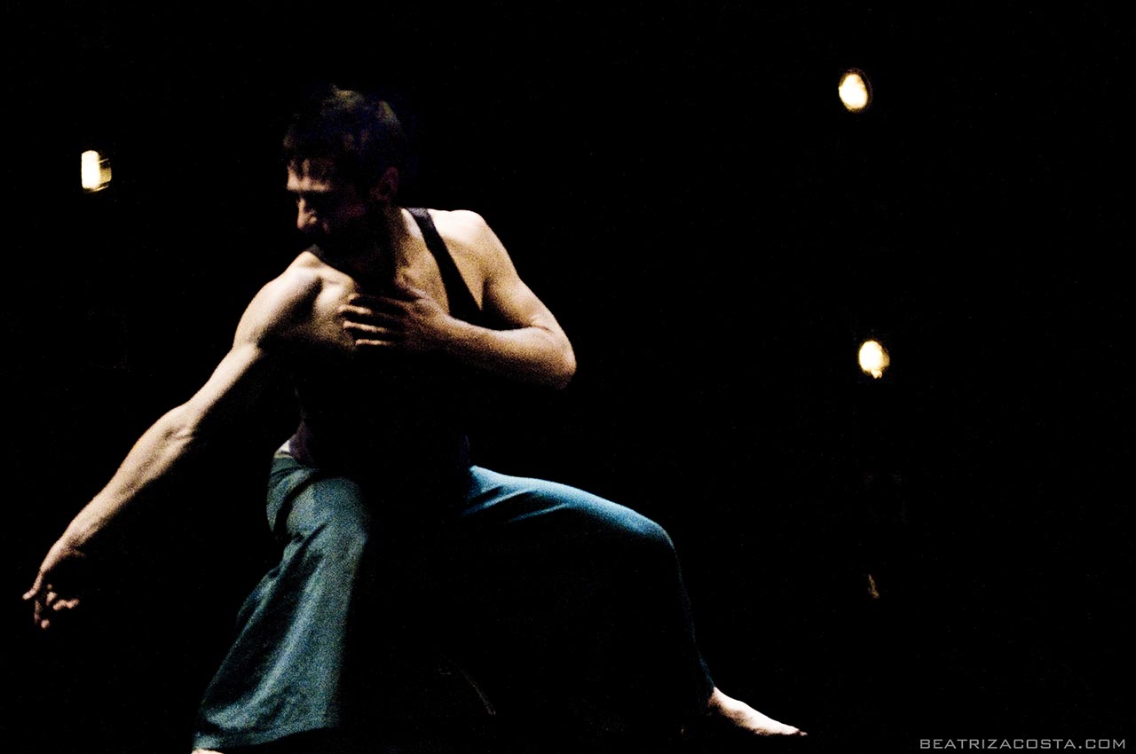 danzas invisibles 2008